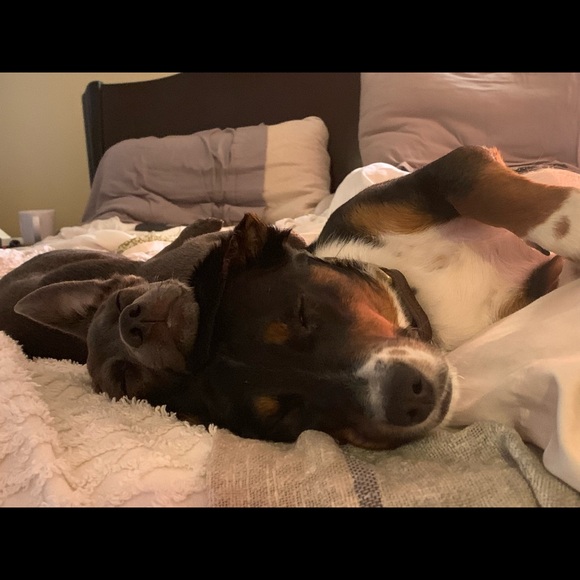 Meet your Posher, Jon - Picture 6 of 15